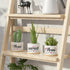 Housewarming Gift Set, Home  Present